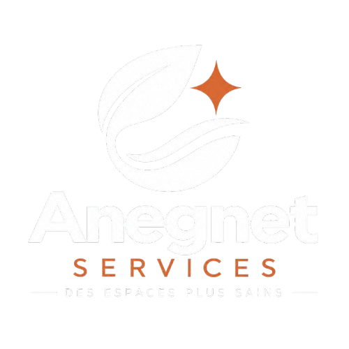 Anegnet Services