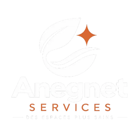 Anegnet Services